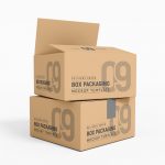 Two Delivery cardboard box